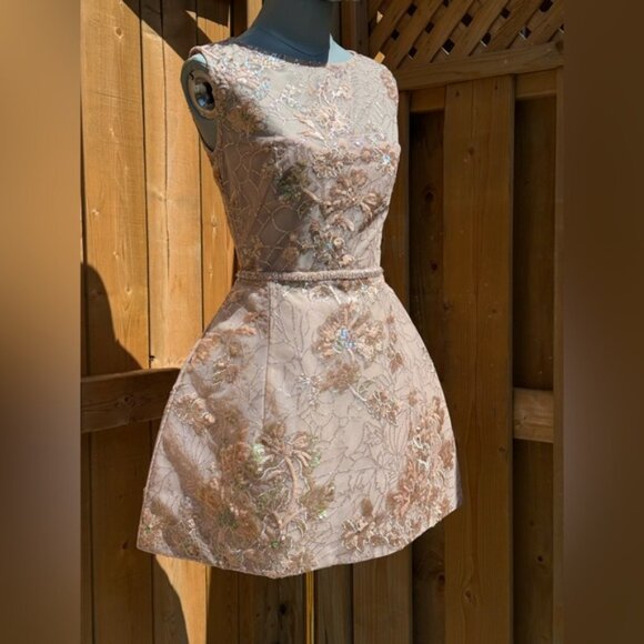 🆕 BRONX & BANCO 🧿 NWOT Violet Mini Dress, Gold & Champagne Sequin - Sz XS US 2 - Picture 11 of 15